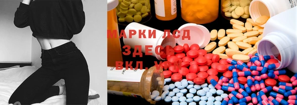 PSILOCYBIN Армянск
