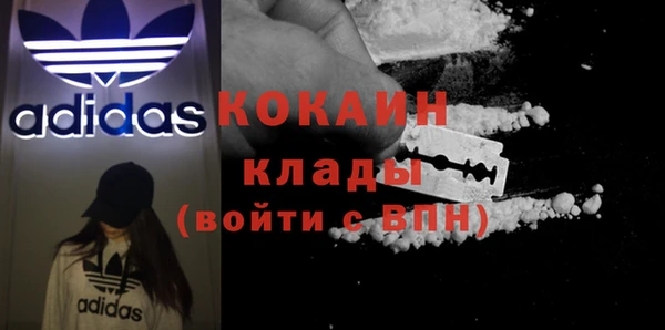 PSILOCYBIN Гусиноозёрск
